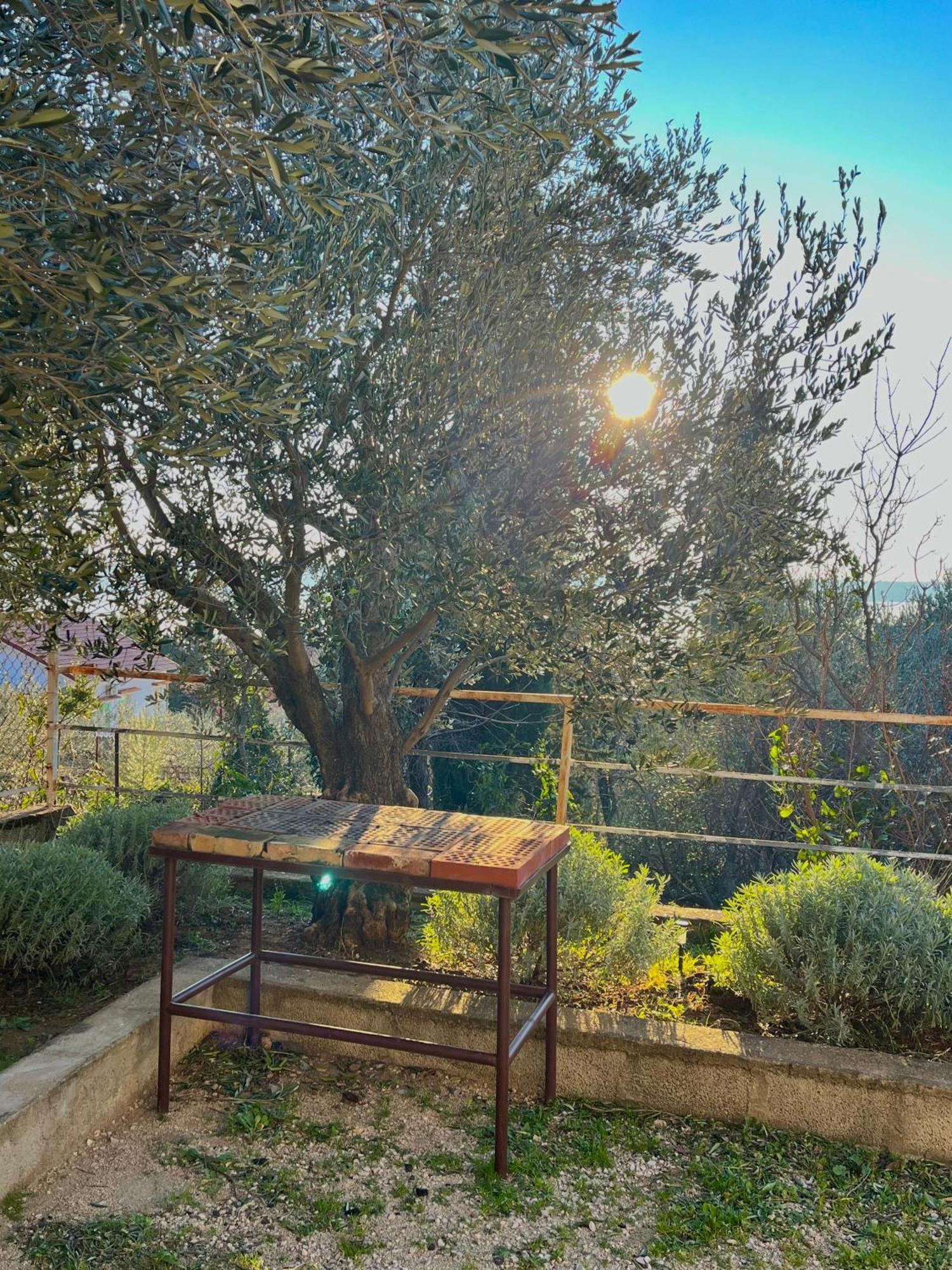 Modern Seaview House Fiore Starigrad Paklenica Buitenkant foto